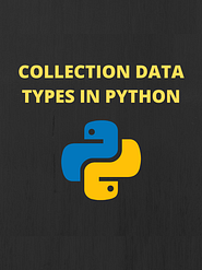 What is collection data types in python | Skill for data science